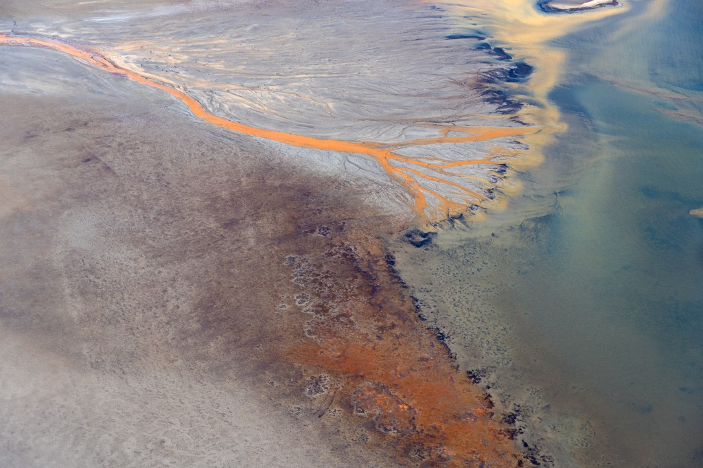 Iron Oxidizing bacteria are often a sign of high levels of organic material in the water.